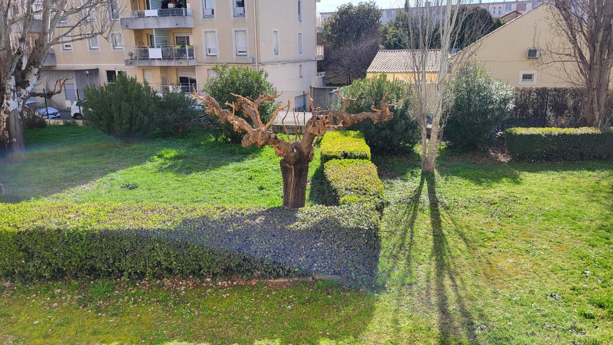 Appartement Les Tourterelles D'Avignon Extérieur photo